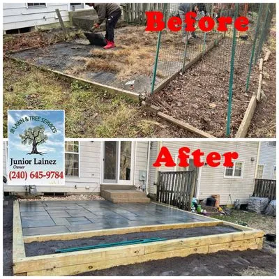 Jr Lawn & Tree Services Logo