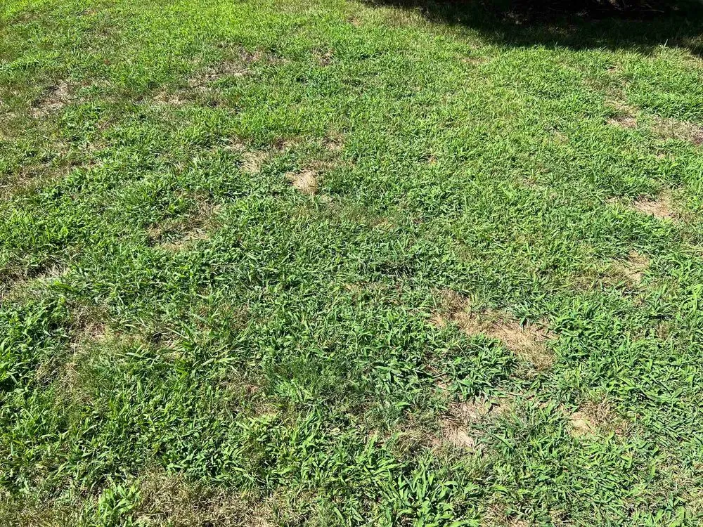 Affordable landscape installation experts serving Newport News, VA - J&R Lawn And Landscape