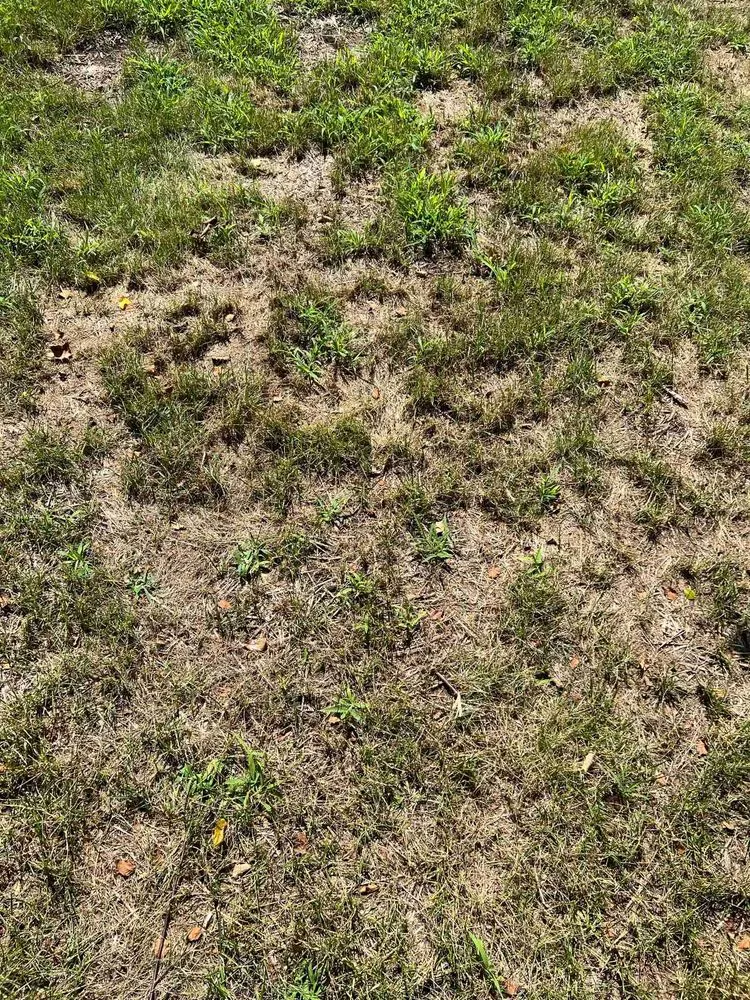 Reliable yard cleanup service in Newport News, VA by J&R Lawn And Landscape