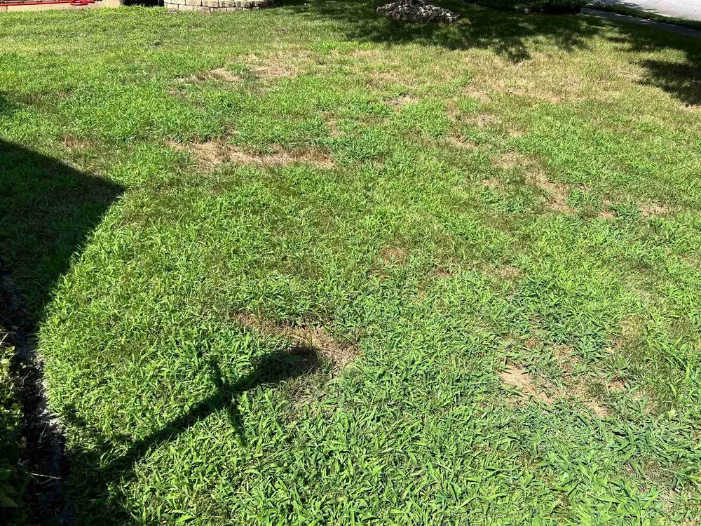 Custom lawn mowing service in Newport News, VA by J&R Lawn And Landscape