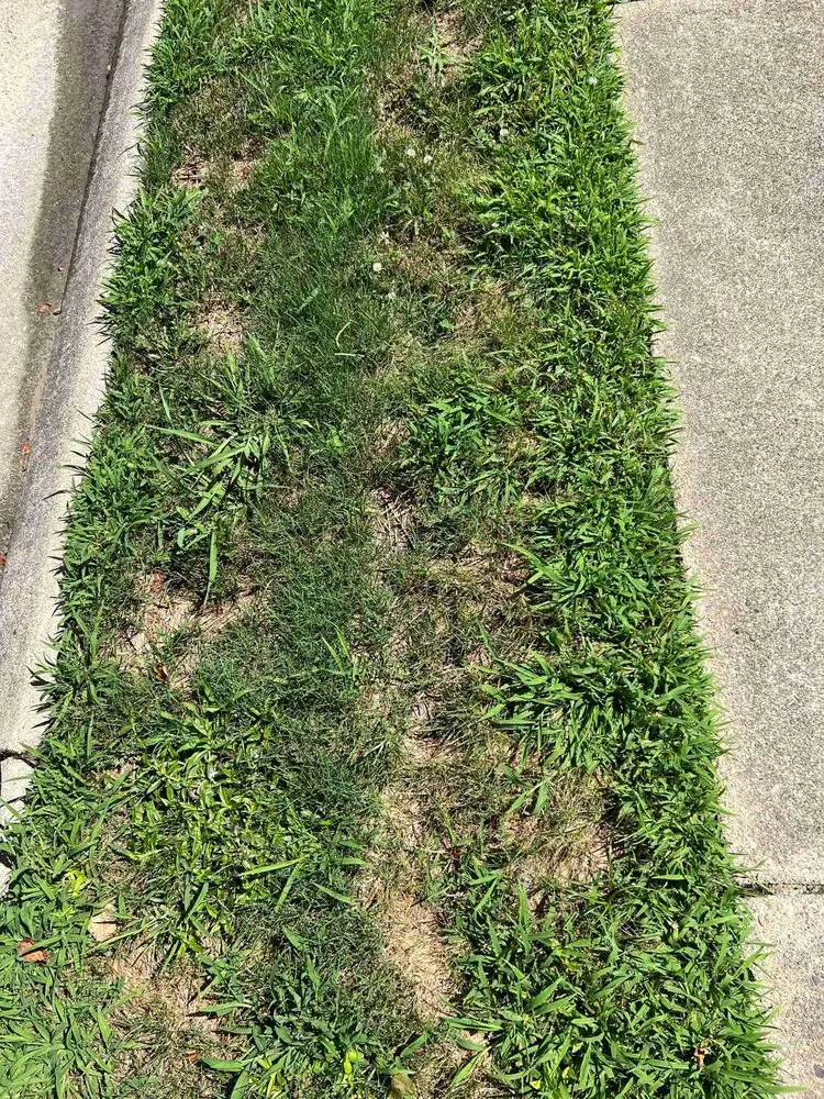 Affordable outdoor landscaping for year-round maintenance in Newport News, VA by J&R Lawn And Landscape