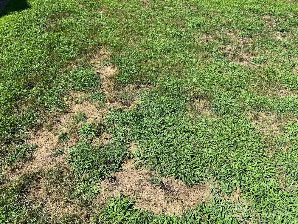 Custom landscape design in Newport News, VA - J&R Lawn And Landscape