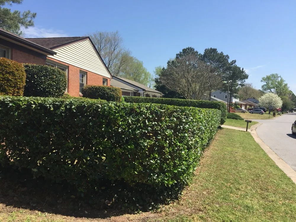 Professional lawn care service experts serving Newport News, VA - J&R Lawn And Landscape