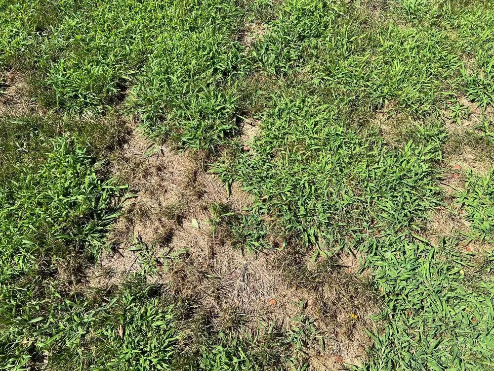 Reliable garden landscaping in Newport News, VA by J&R Lawn And Landscape