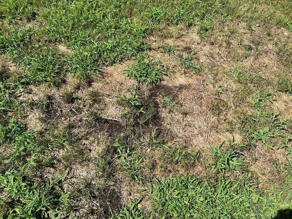 Expert lawn care service with custom design in Newport News, VA by J&R Lawn And Landscape