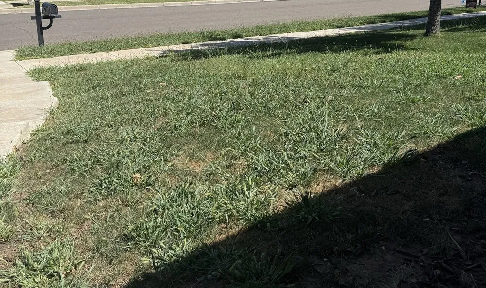 Custom lawn mowing service for outdoor upgrades in Amarillo, TX by J&R Lawn and Sprinkler