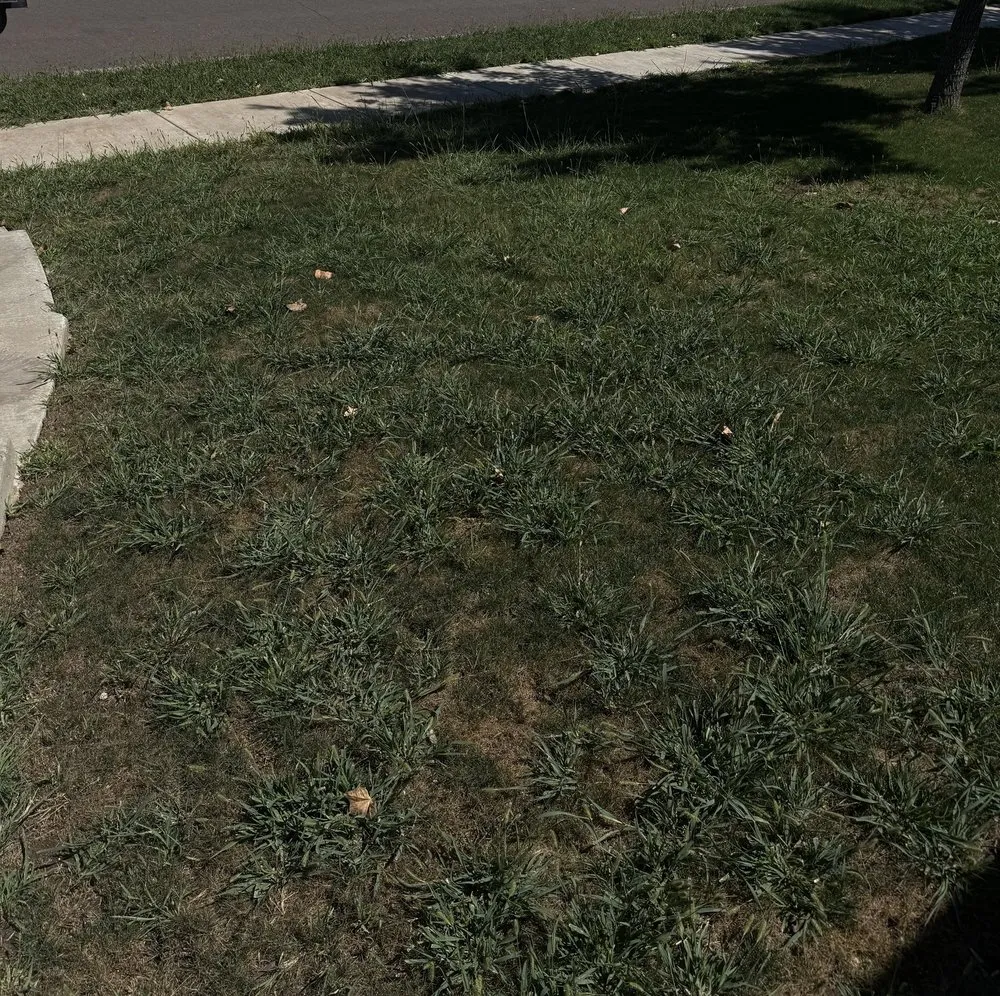 Top-rated yard maintenance in Amarillo, TX - J&R Lawn and Sprinkler