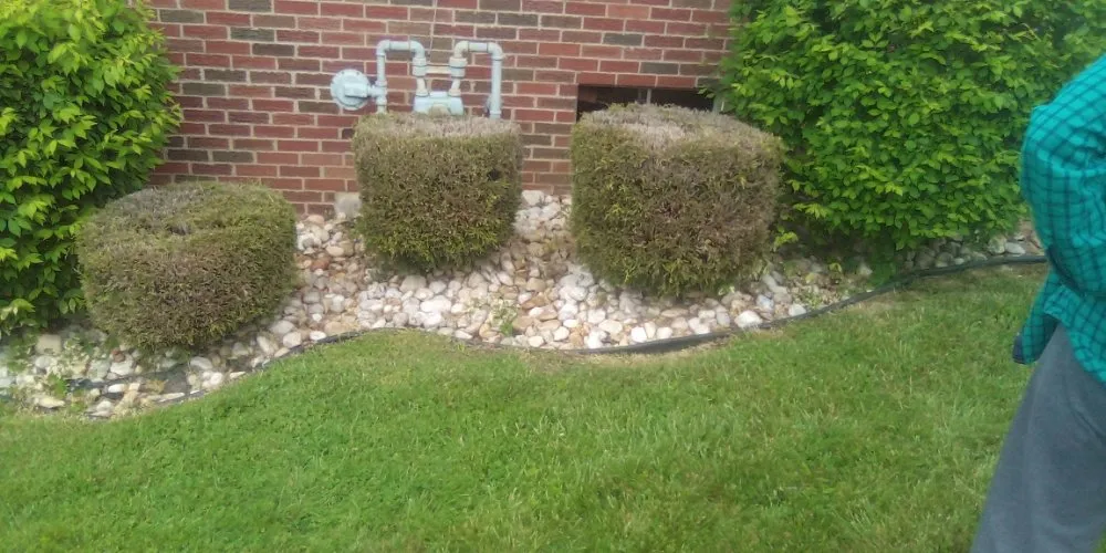 Top-rated lawn care service for residential properties in Cadiz, OH by J&R Lawn And Tree Maintenance