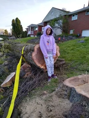 J&R Lawn And Tree Maintenance