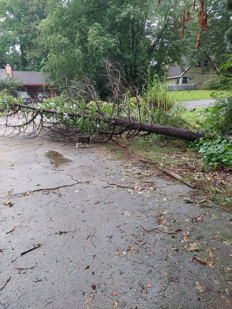 Expert yard cleanup service in Griffin, GA - J&R Lawn Care & Landscaping