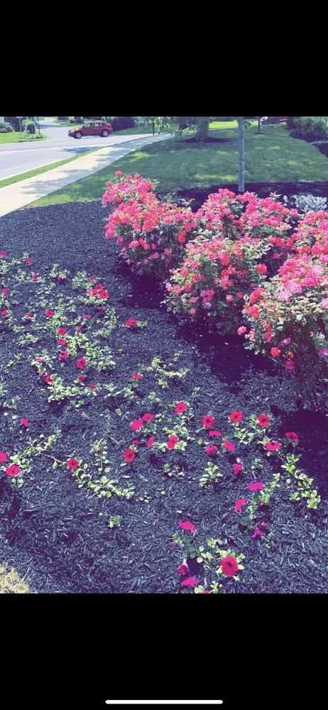 Local lawn care service in Lancaster, PA - JR lawn Care & Maintenance