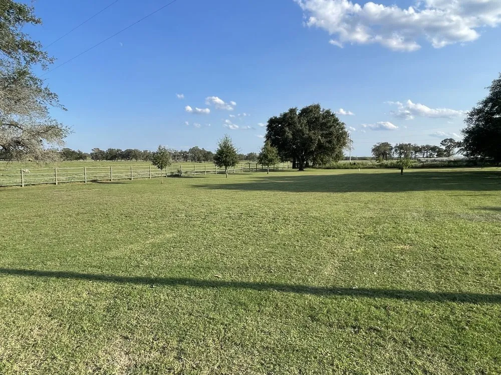 Top-rated landscape design near you across Gonzáles, TX - Jr Lawn Care