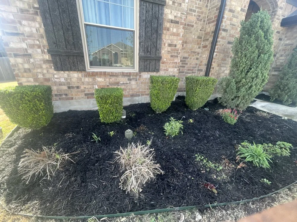 Local landscape design for residential properties in Gonzáles, TX by Jr Lawn Care