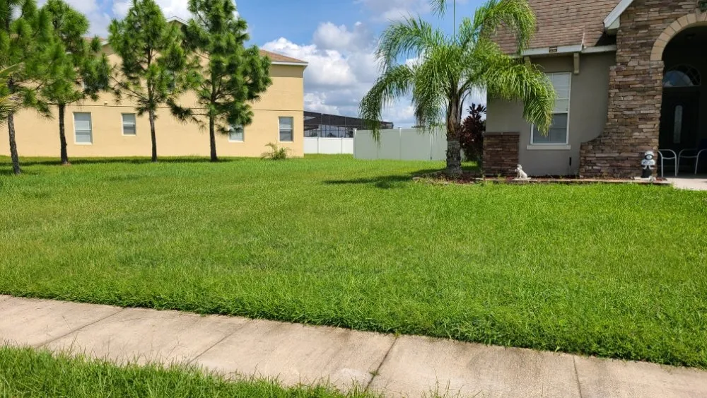 Professional residential landscaping experts serving Kissimmee, FL - JR Lawn Care