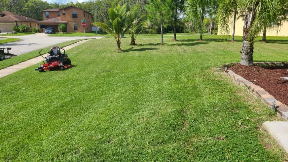 Local yard cleanup service in Kissimmee, FL by JR Lawn Care