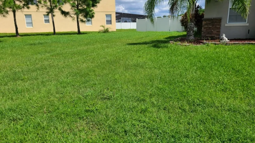 Custom yard maintenance for year-round maintenance across Kissimmee, FL - JR Lawn Care