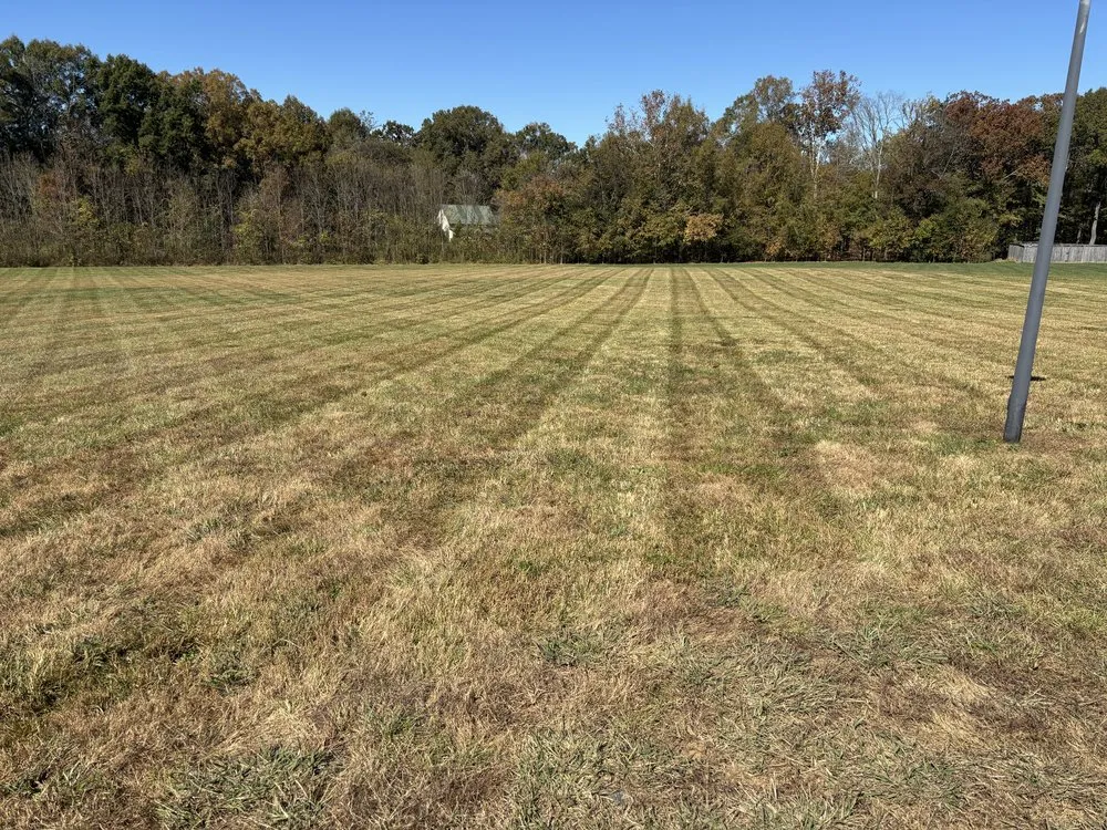 Top-rated yard maintenance with custom design in Charlotte, NC by Jr Lawn Care Services