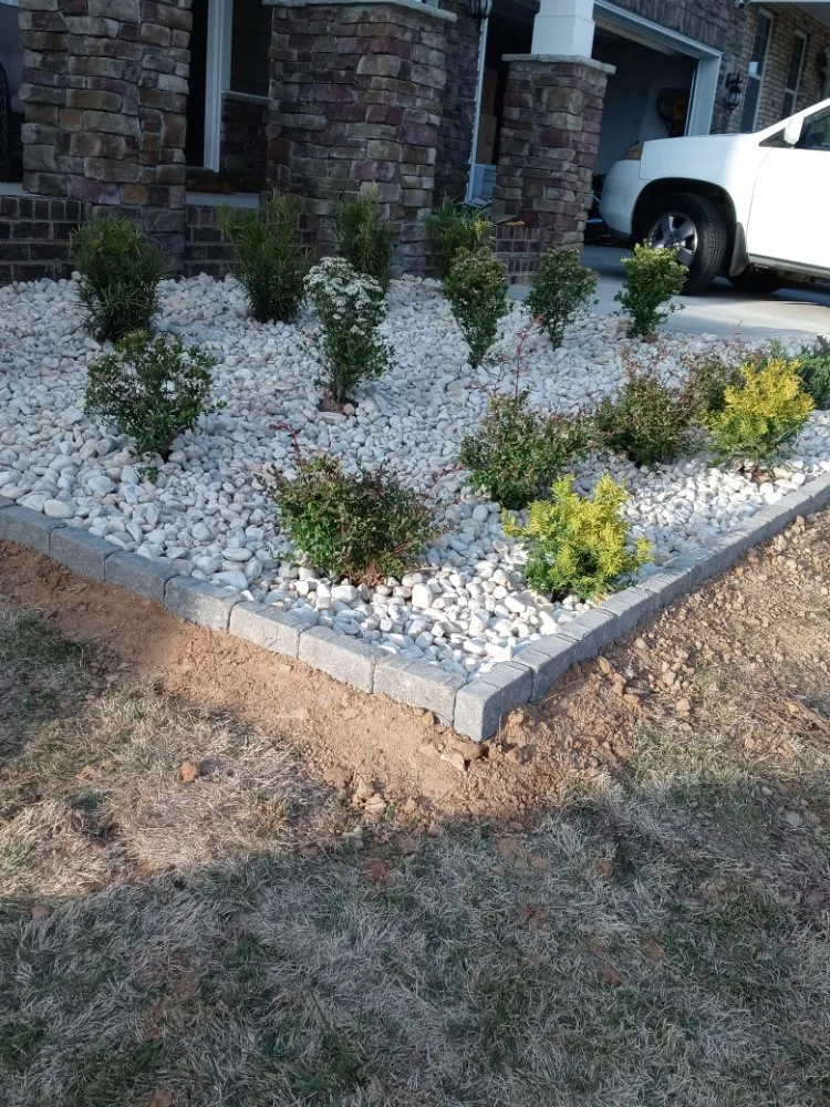 Professional yard cleanup service in Charlotte, NC - Jr Lawn Care Services