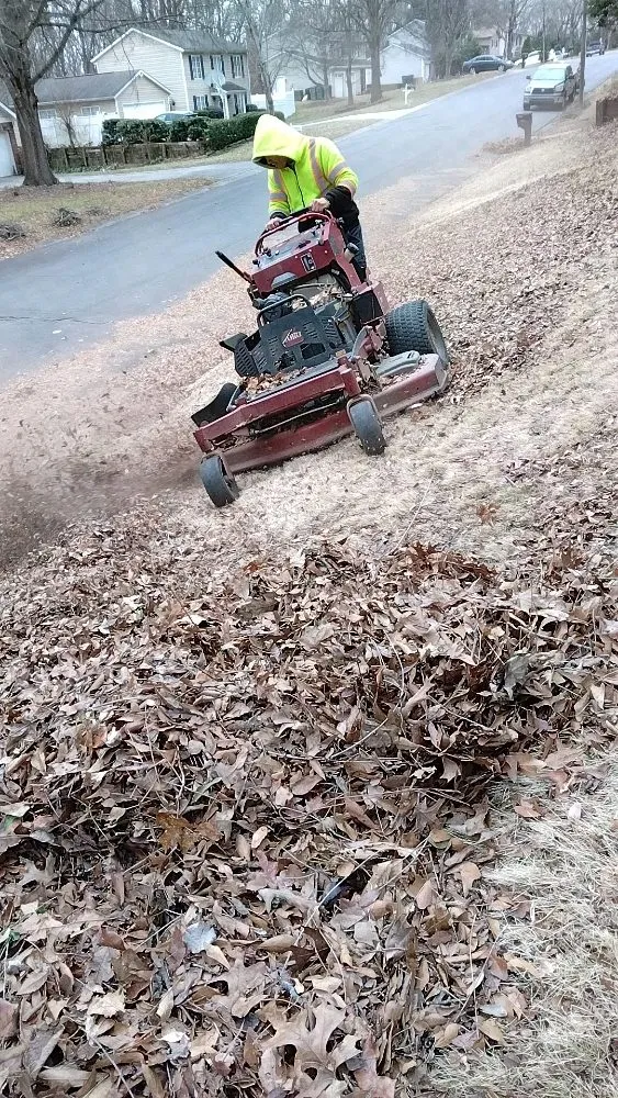 Expert landscaping services near you in Charlotte, NC by Jr Lawn Care Services