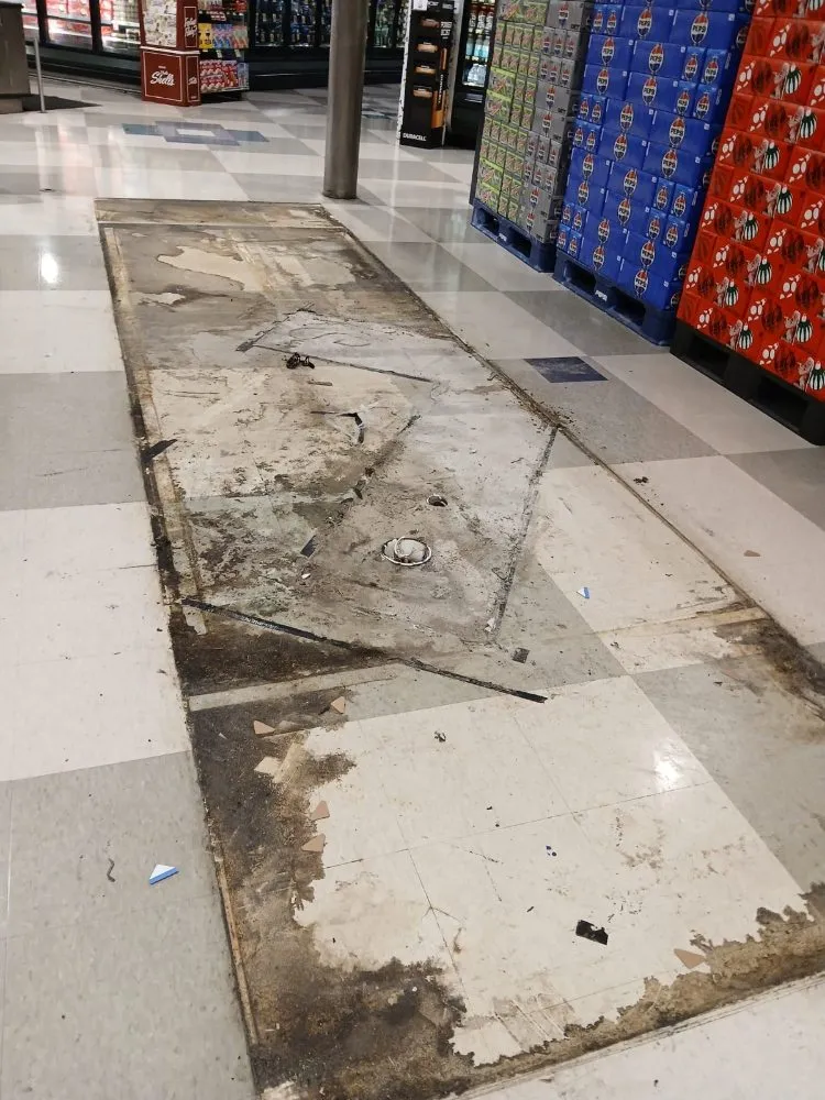 Top-rated landscaping services experts serving Charlotte, NC - Jr Lawn Care Services