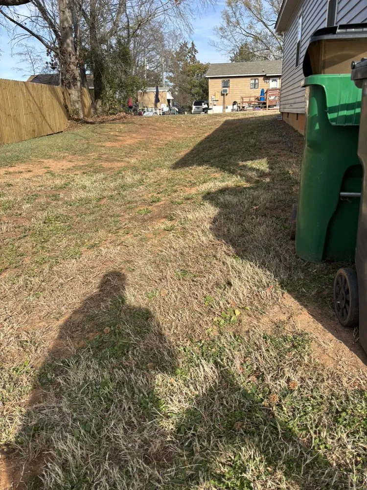 Professional residential landscaping for beautiful yards across Charlotte, NC - Jr Lawn Care Services