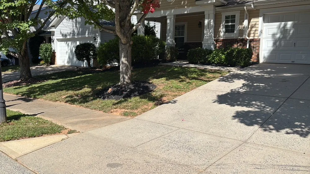 Local landscape installation for year-round maintenance across Charlotte, NC - Jr Lawn Care Services