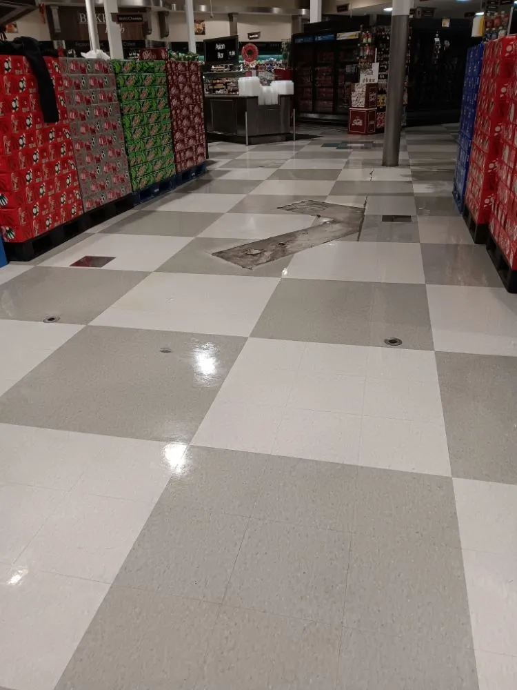 Professional yard cleanup service in Charlotte, NC by Jr Lawn Care Services