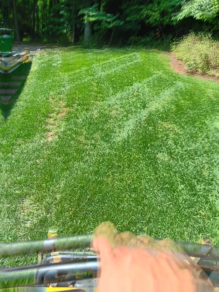 Reliable lawn mowing service with custom design in Charlotte, NC by Jr Lawn Care Services