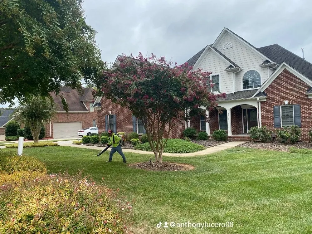 Expert landscape design in Charlotte, NC - Jr Lawn Care Services