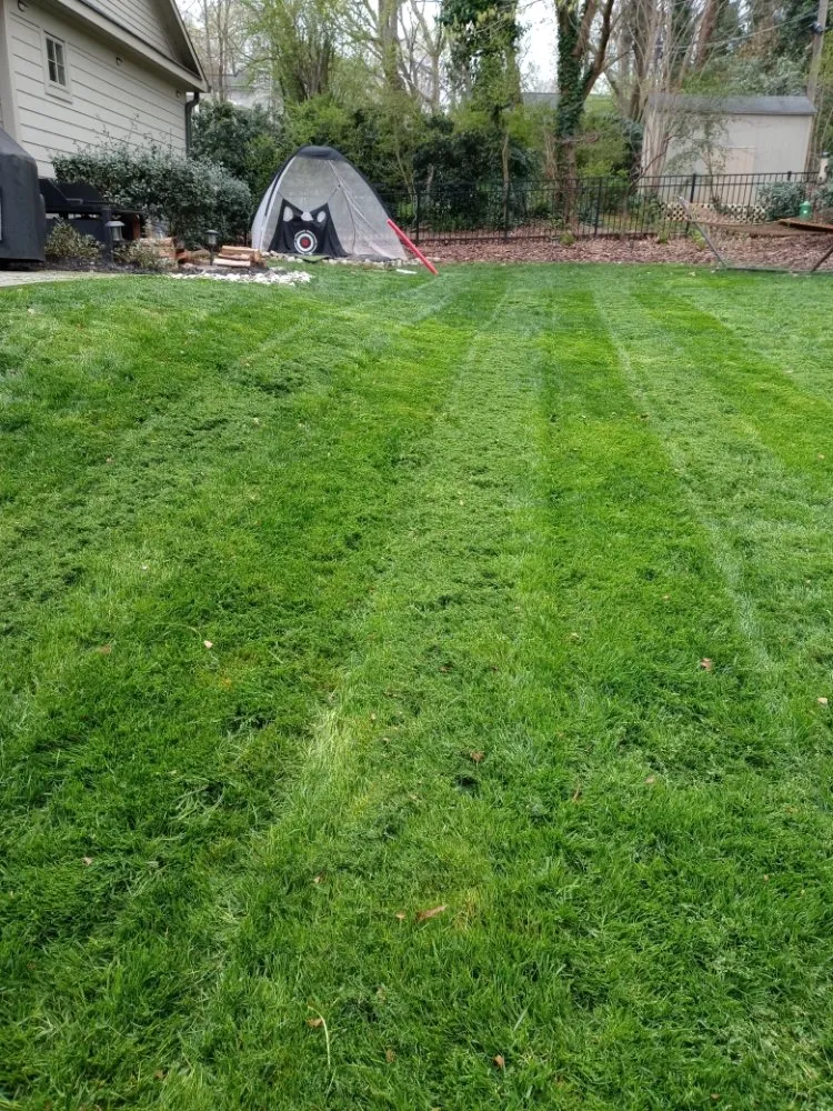 Top-rated residential landscaping near you in Charlotte, NC by Jr Lawn Care Services