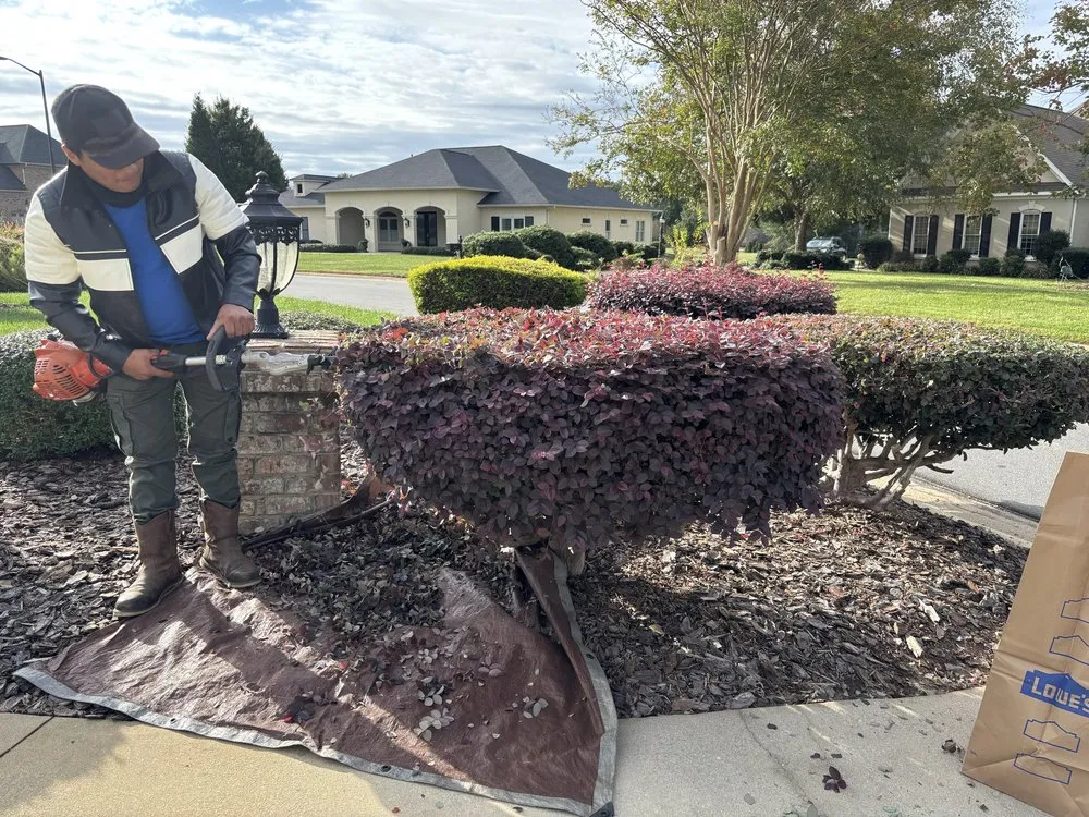 Trusted yard cleanup service in Charlotte, NC - Jr Lawn Care Services