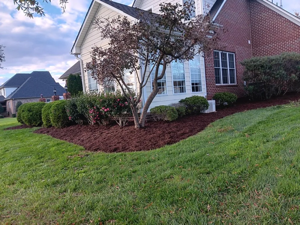Affordable yard cleanup service with custom design in Charlotte, NC by Jr Lawn Care Services