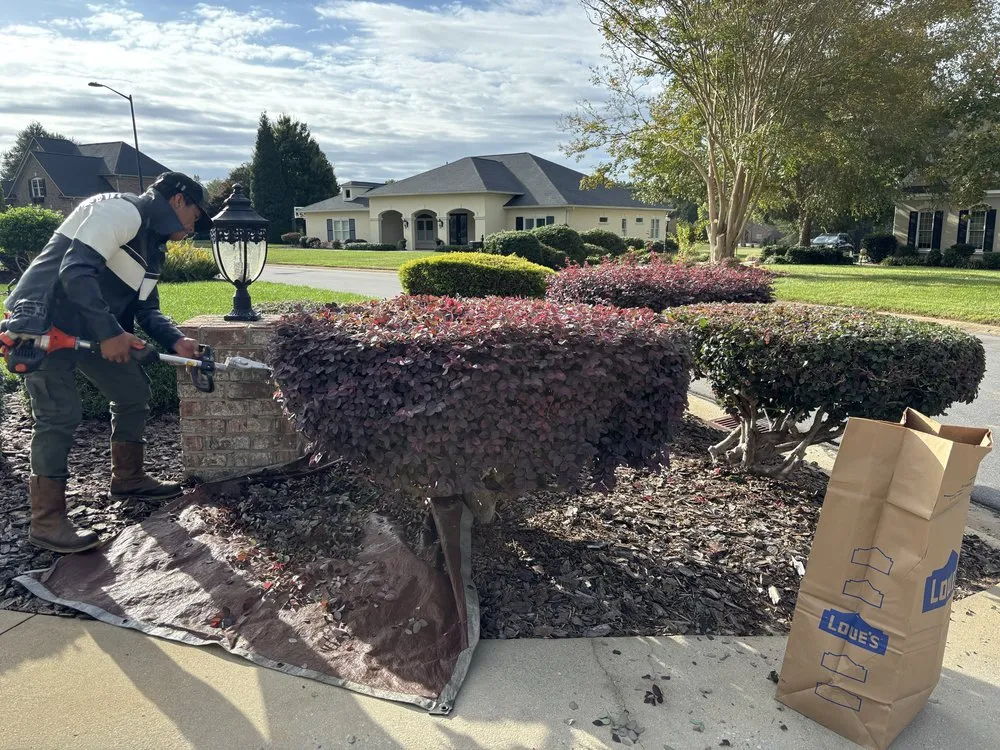 Reliable landscaping services experts serving Charlotte, NC - Jr Lawn Care Services