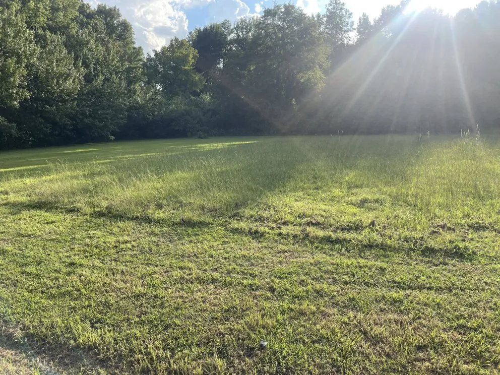 Custom yard cleanup service experts serving Spring Lake, NC - J&R Lawn Care