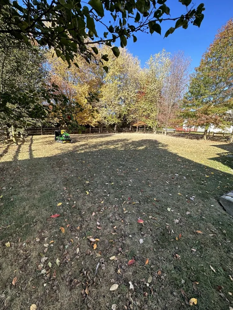 Local landscaping services near you in Bear, DE by Jr lawn service