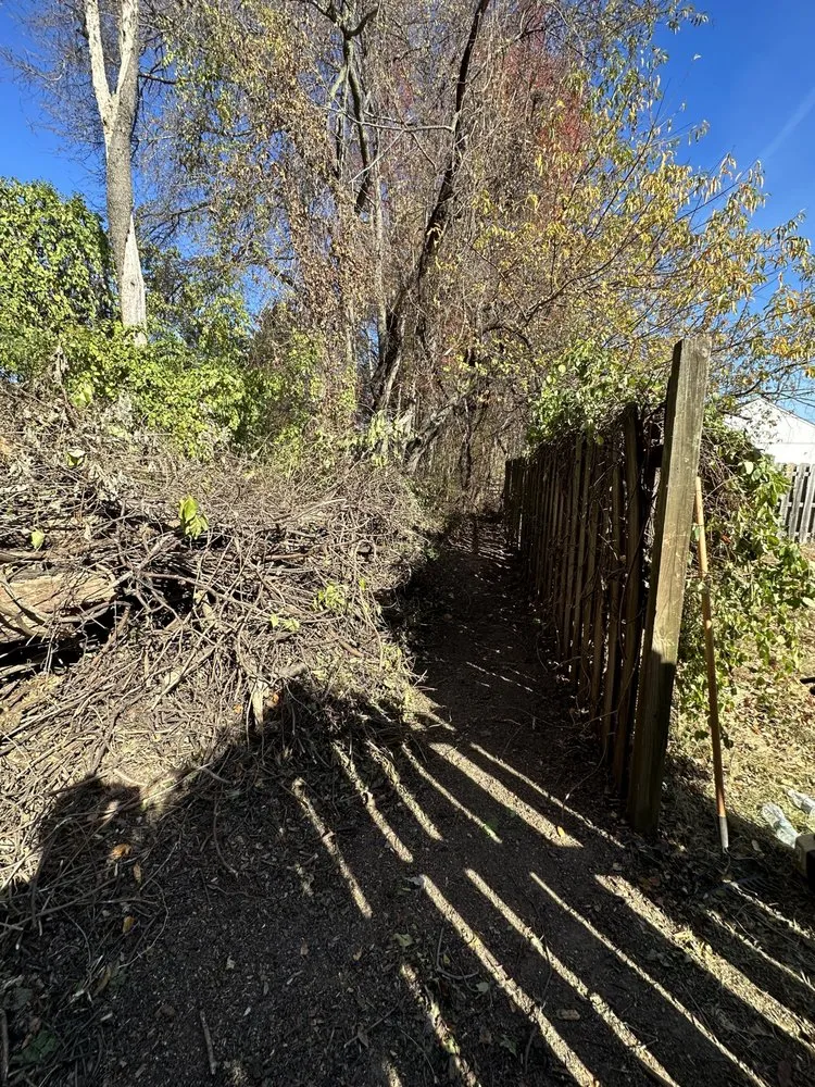 Affordable lawn care service in Bear, DE by Jr lawn service