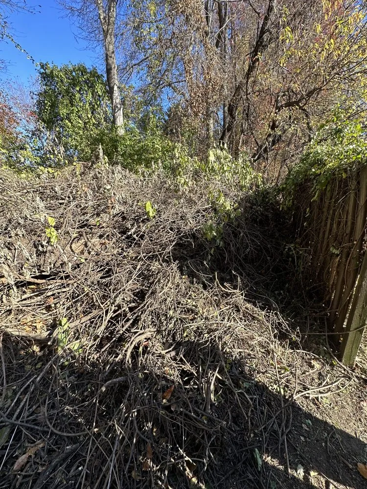 Professional landscape design in Bear, DE - Jr lawn service