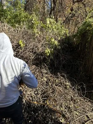 Jr lawn service Logo