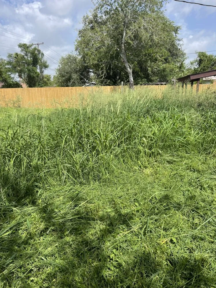 Custom landscaping services in Harlingen, TX - J&R Lawn Services