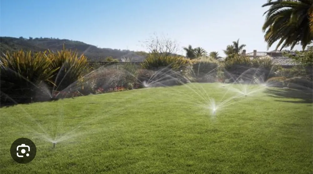 Top-rated landscaping services in Cape Coral, FL - Jr Lawn Sprinkler