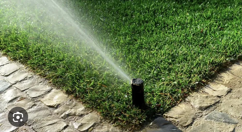 Local landscaping services in Cape Coral, FL by Jr Lawn Sprinkler