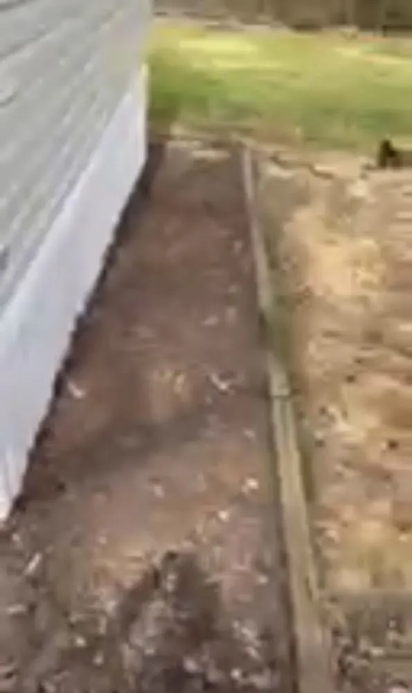 Expert garden landscaping in Magee, MS - J&R Lawncare & Landscaping