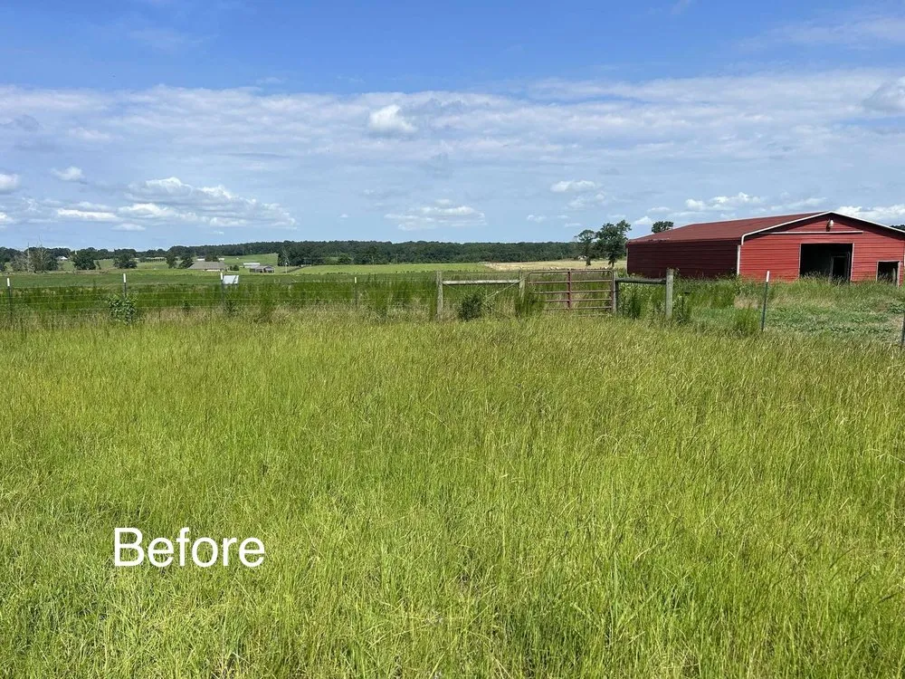 Local yard cleanup service in Magee, MS - J&R Lawncare & Landscaping