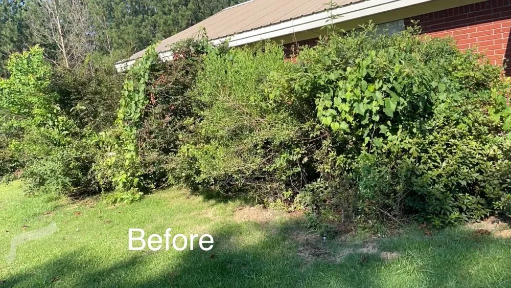 Expert residential landscaping in Magee, MS by J&R Lawncare & Landscaping