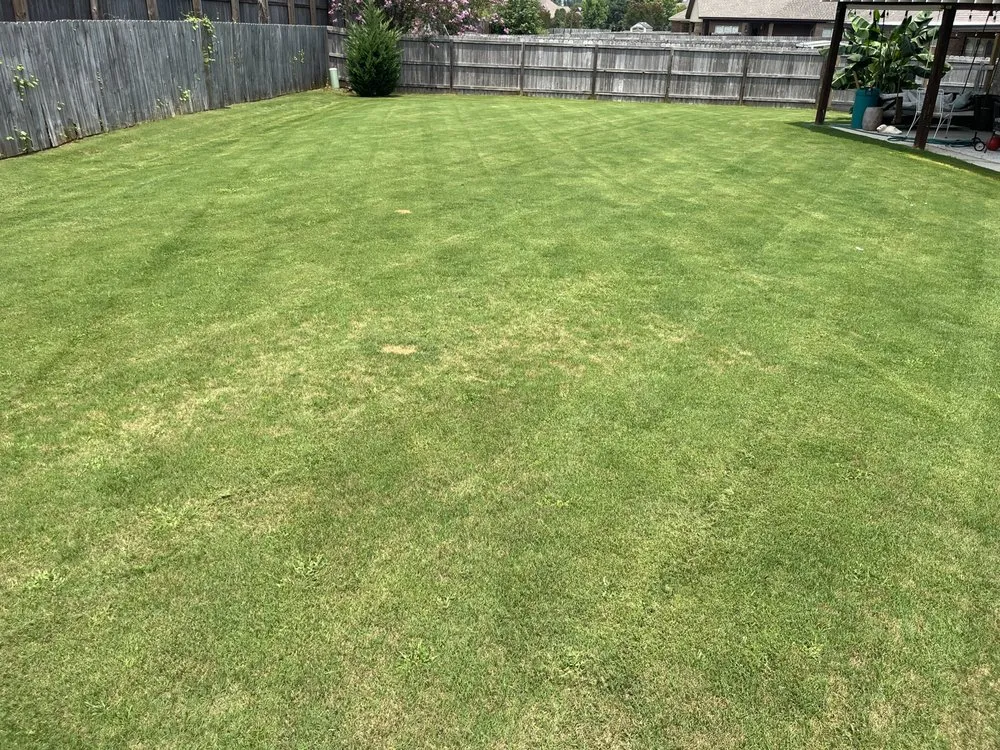 Trusted yard cleanup service experts serving Pike Road, AL - JR Lawncare