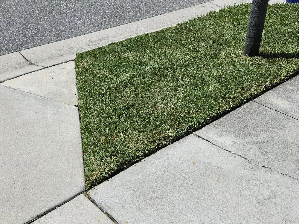 Trusted lawn care service for outdoor upgrades in St. Cloud, FL by JR Lawncare