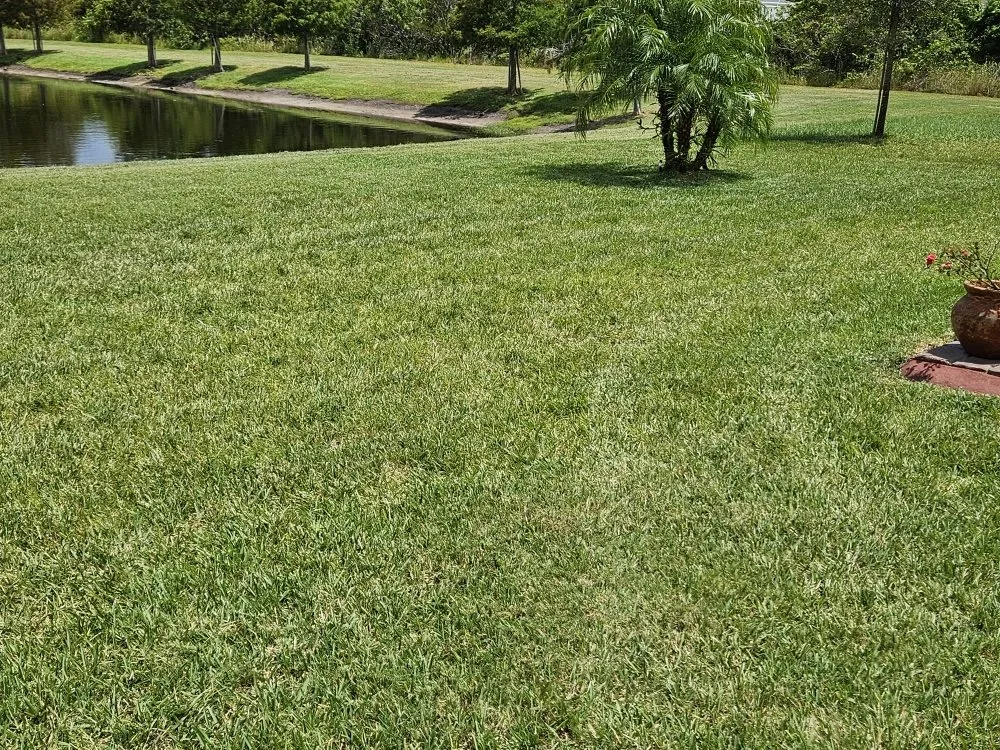 Reliable yard maintenance for outdoor upgrades across St. Cloud, FL - JR Lawncare