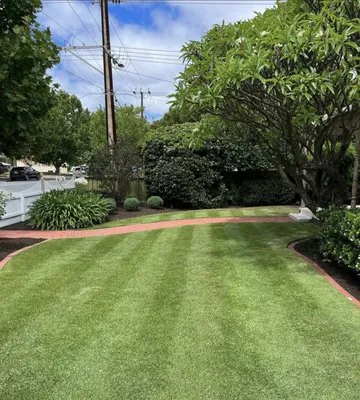 Jr Montes Lawn service