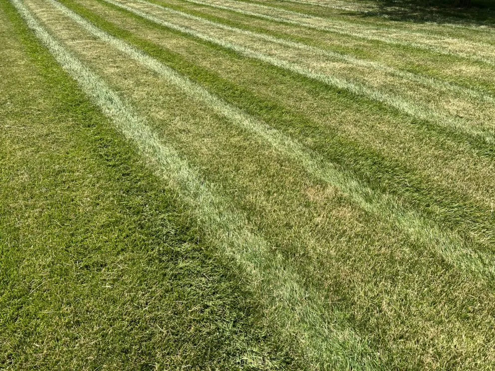 Reliable residential landscaping in Kempton, IN by JR Mowing