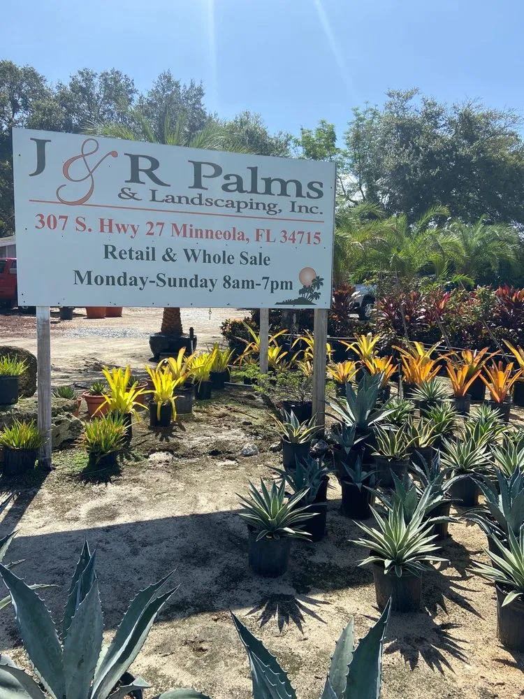 Trusted residential landscaping in Minneola, FL - J&R Palms And Landscaping